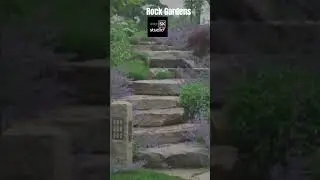 Small Rock Gardens on a Budget 07 #rockgarden #rockgardens #shortsvideo shorts