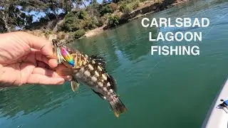 Evening fishing for spottys in | Carlsbad Lagoon |