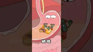 The serious consequences of eating leftovers#animation #funny #shorts #health #trending