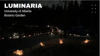 Luminaria Winter Dreams l University of Alberta Botanic Garden