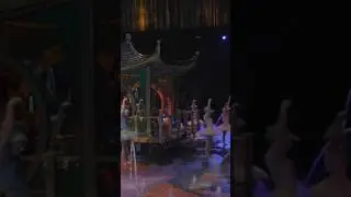 THODW Pt.15 #dance #performer #theatre #circusarts #macau #china #showbiz #water #watershow #fyp