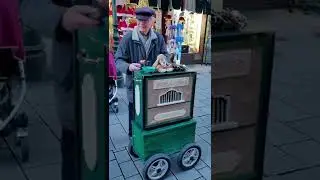 Barrel Organ Player - D&uuml;sseldorf Germany #shorts
