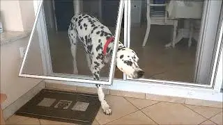 Custom Size Pet Door