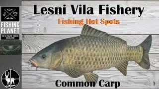 Как поймать карпа | Рыболовство в Лесни Вила | Горячие точки Fishing Planet