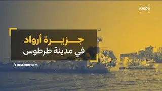 في سوريا جزيرة مأهولة.. ما الذي تعرفه عنها؟