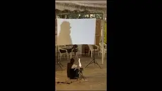 Master of Shadow art shown wonderfully on stage