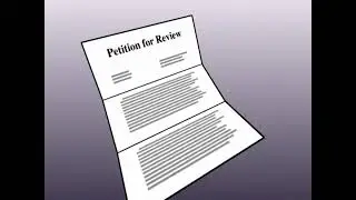 The Appeal Process - Petition for Review