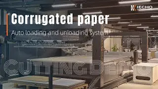 IECHO Auto loading and unloading system