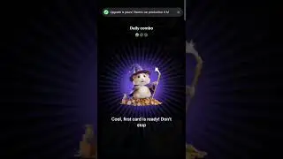 Hamster Kombat Daily Combo cards 26 August #hamsterkombat