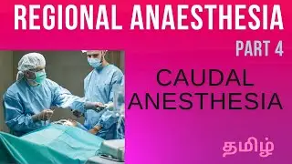 WHAT IS REGIONAL ANAESTHESIA PART 4  | CAUDAL ANAESTHESIA | ANAESTHESIA TECHNOLOGY|