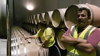 Batonage del Chardonnay 2018