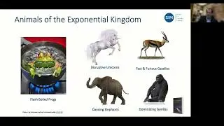 Animals of the Exponential Kingdom - The Exponential Era