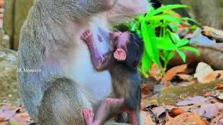 Wow looking really sweet when seeing Button spilled out of milk like that, Baby feeling very..