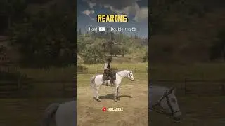 RDR 2 Horse Tricks - PS4/PS5 Controls! 🎮