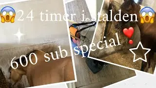 24-Timer i stalden😱lidt kaos😂600 sub special❣️