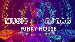 Funky House | Copyright Free Music | 2021 | Music DJ Dog