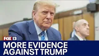 New evidence released against Donald Trump in election case