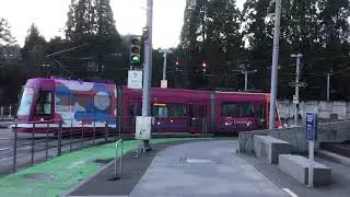 Peek 5 Section Traffic Signals🚦for Transit Only