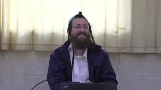 הרב דביר טל | הערות נוספות בסוגיית גוון התכלת ובסוגיית אבני המזבח; סיפור השגחה במלחמה