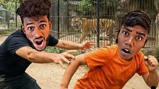 CHOTU PAKDAM PAKDAI GAME ON JUNGAL | CHOTU TRAPED WITH TIGER FOREST #factfireking 