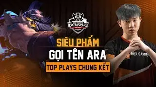 TOP PLAYS CHUNG KẾT | Đẳng cấp của Ara tại V&ograve;ng Chung Kết! - ĐTDV m&ugrave;a Xu&acirc;n 2019