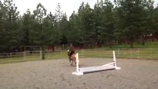 BammBamm
