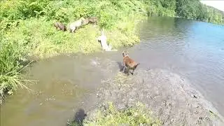 At the river  8/15