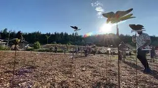 Brave Butterflies installation at Geyserville Sculpture Trail