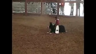 Whiplash, the dog-riding monkey