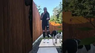 Misty Morning | Step Review | Intermediate Clogging Routine