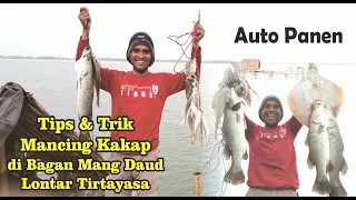 Tips & Trik Mancing Kakap di Bagan Mang Daud Lontar Tirtayasa Auto Panen