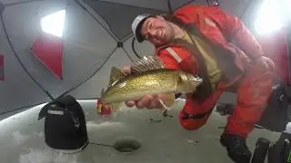 Ice Fishing Walleye Buckshot Spoon