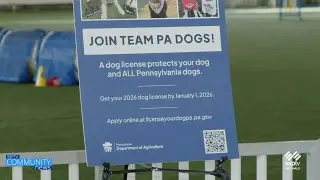 Команда PA Dogs - Лицензии на содержание собак на 2026 год