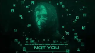 Alan Walker & Emma Steinbakken - Not You (Instrumental)