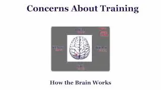 Fundamentals of Active Engagement: How the Brain Works