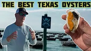 First Oysters in Texas HISTORY! #oysters #blackjackpoint