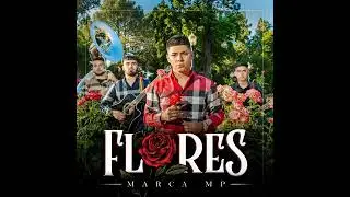 Marca MP: Recuerda