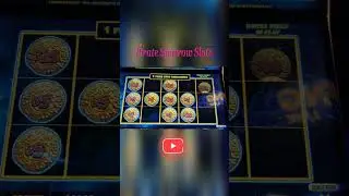 Dollar Storm slot bonus on Caribbean Gold  Wide Area Progressive  #shorts #casino #slots #WAP