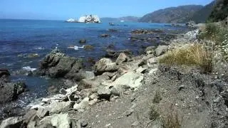 20150117 Alpine Pacific Triangle Rd, Peketa, New Zealand