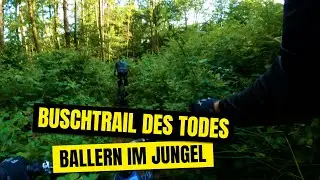 Enduro Runde im Jungle des Melibokus mit den @trail_dudes_odw | Trailkind