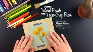 Using Colored Pencils on Toned Gray Paper