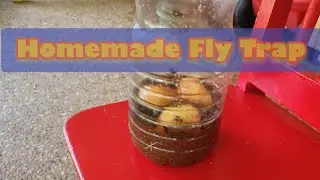 Homemade Fly Trap.