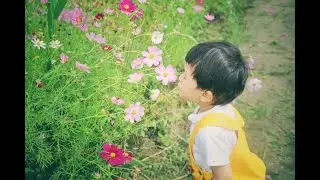Video #14   Environmental Modifications for People with Autism