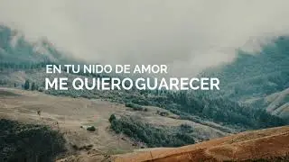 Yuri Mijail - En Tus Brazos de Amor (Lyric Video)