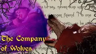 Transforming the Werewolf in &lsquo;The Company of Wolves&rsquo;