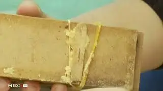 #مع_البيئة .. 