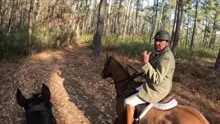 Hunting with Moore County Hounds