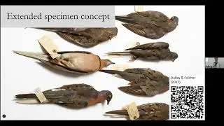 Nature’s memory: how natural history collections help save the world