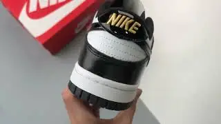 Nike Dunk Low World Champ DR9511 100