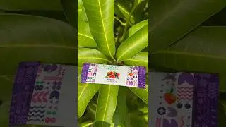 mixed berry #berry #shorts #short #trending #viral #shortsfeed #candy #mixedberry #ytshorts #fruit